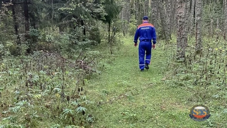В лесу Камешковского района заблудились мужчина и женщина