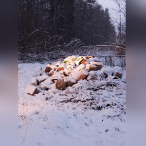 Во Владимире из лесного парка «Дружба» убрали мусорную свалку 