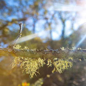 Прогноз погоды во Владимире и области на 3 мая 2024 года