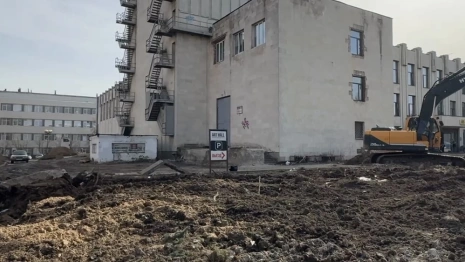 Владимирцы возмутились спиленной елью у Art Hall