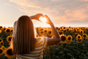 Во Владимирской области зафиксируют удаление Солнца от Земли