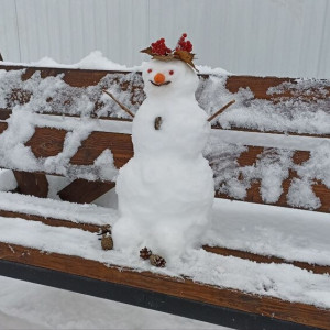 Владимирцы измерили высоту сугробов и слепили первых снеговиков