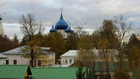 В Суздале посуточная аренда квартир подорожала почти в 4 раза за пять лет