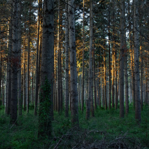 Пропавшего во Владимире мужчину с гитарой нашли живым
