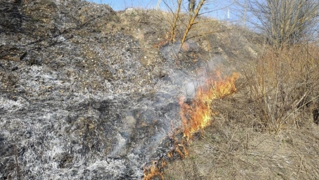 Во Владимирской области спасатели потушили 44 пала травы с начала года