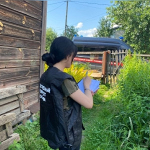 В Петушках пенсионерка зарезала 47-летнего сожителя