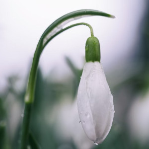 День Овсянки: что можно и чего нельзя делать 3 марта