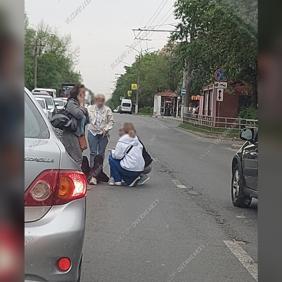 Во Владимире сбили девушку - День во Владимире