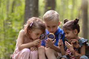 Дырки в стенах лагеря для белгородцев во Владимирской области заделали