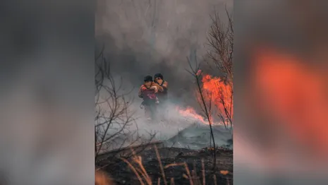 Во Владимирской области предупредили о пожарной опасности 4-го класса