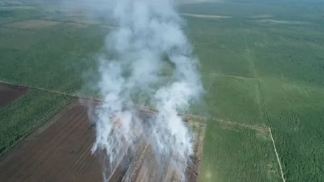 Во Владимирской области потушили все 6 лесных пожаров