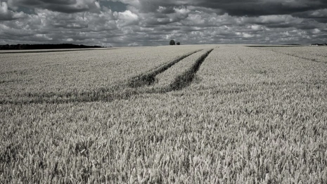 Пропавшую в Коврове старушку нашли мертвой