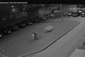 В Гусь-Хрустальном местный Ромео под камерами сорвал для подруги цветы с клумбы