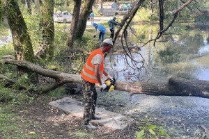 Во Владимире волонтеры расчистили территорию нижнего Красносельского пруда