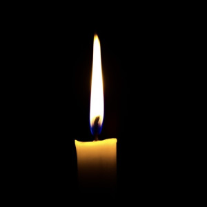 В зоне СВО погибли Сергей Французов и Алексей Соколов из Радужного