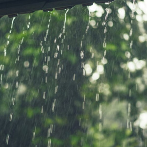 Прогноз погоды во Владимире и области на 2 августа