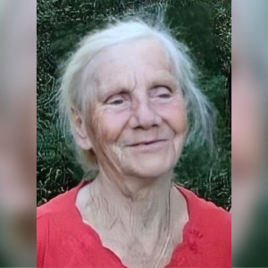 Владимирцев позвали на срочные поиски в лесу 83-летней бабушки