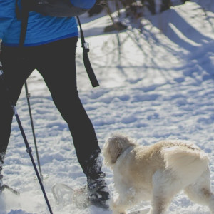 Во Владимирской области объявленного в розыск мужчину в синей куртке нашли живым