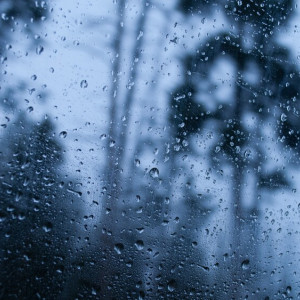 Синоптики назвали даты сильных дождей в апреле во Владимирской области