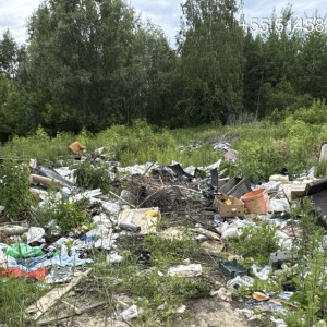 В Муроме прокуратура потребовала убрать 4 стихийных свалки