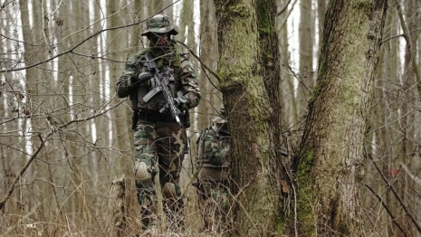 Добровольцам из Владимирской области пообещали крупную сумму за участие в спецоперации 