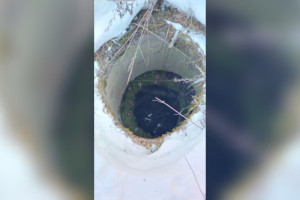 Во Владимирской области собака провалилась в открытый люк