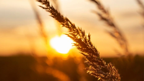 Прогноз погоды во Владимире и области на 23 мая