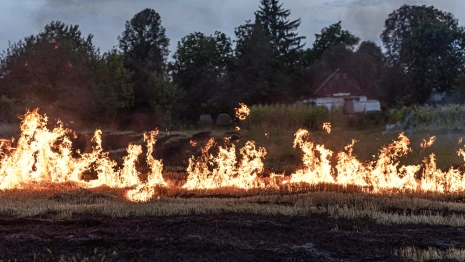Во Владимирской области ввели особый противопожарный режим