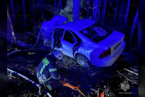 В ДТП во Владимирской области пострадала молодая пара