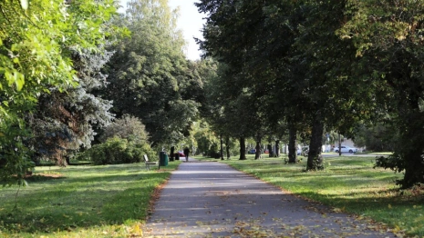 Разыскиваемого во Владимирской области 71-летнего москвича нашли живым