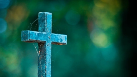 Владимирские санврачи признали кладбище в Соколе противоречащим нормам