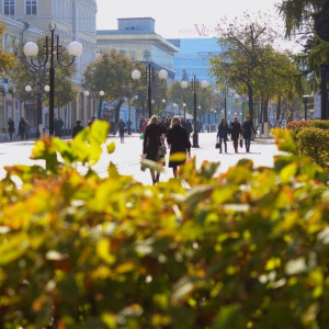 Туристов во Владимирскую область хотят привлечь с помощью образа Ивана Грозного 