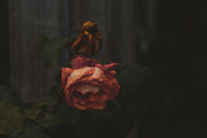 У выпавшей с 17 этажа во Владимире девушки была сложная судьба