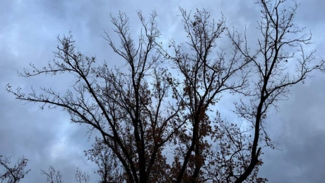 В выходные во Владимирской области спрогнозировали температурные качели