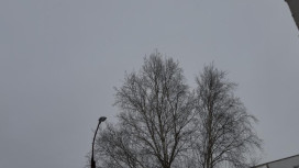 Во Владимире 4 марта завыли тревожные сирены