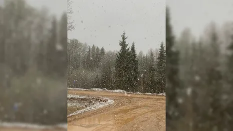 Александровский район засыпало снегом