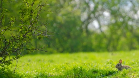 44 день Великого поста и Страстной вторник: что нужно сделать 30 апреля 2024 года