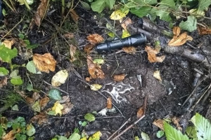 Волонтеры рассказали о спасении 84-летнего дедушки в лесу под Собинкой