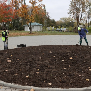 Во Владимире на зиму уберут все топиарные фигуры