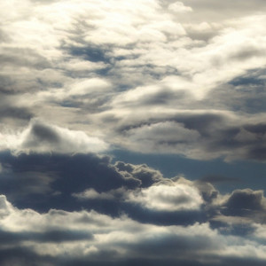 Прогноз погоды во Владимирской области на 21 июля