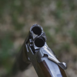 Во Владимире экс-сотрудника Росгвардии осудили за халатность с выдачей лицензии на оружие