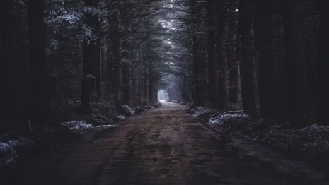 Пропавшего в Петушках 68-летнего мужчину нашли мертвым