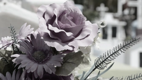 Оказание похоронных услуг в Александровской ЦРБ назвали аморальным