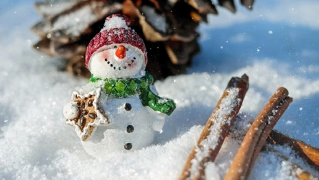 Во Владимирской области похолодает до -18