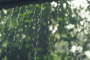 Прогноз погоды во Владимире и области на 2 августа