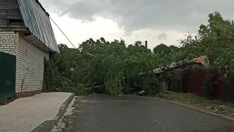 Во Владимирской области 96 электриков отправились устранять последствия урагана