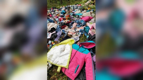 В лесу под Муромом нашли кладбище детской одежды