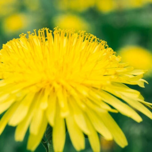 26 день Великого поста: что можно и нельзя 12 апреля