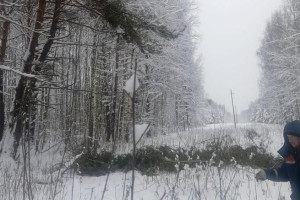 Во Владимирской области Гусь-Хрустальный и Меленковский районы остались без света