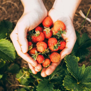 Прогноз погоды во Владимирской области на 2 июня 2025 года